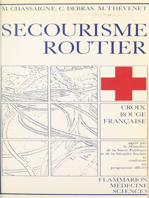 cover image of Secourisme routier